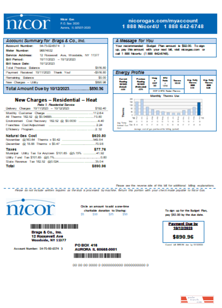 Illinois Nicor gas business utility bill SCR PSD template